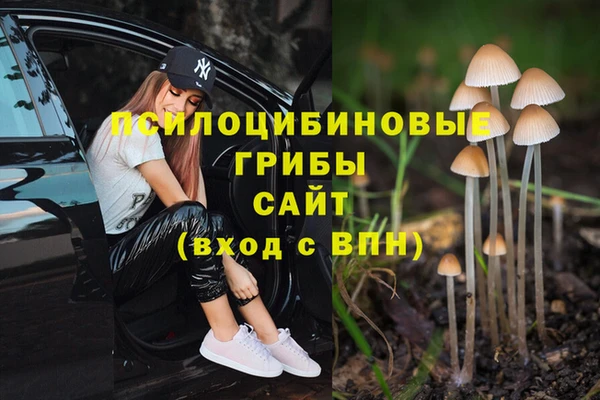 хмурый Абинск