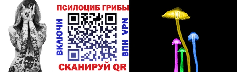 Псилоцибиновые грибы прущие грибы  Берёзовка 